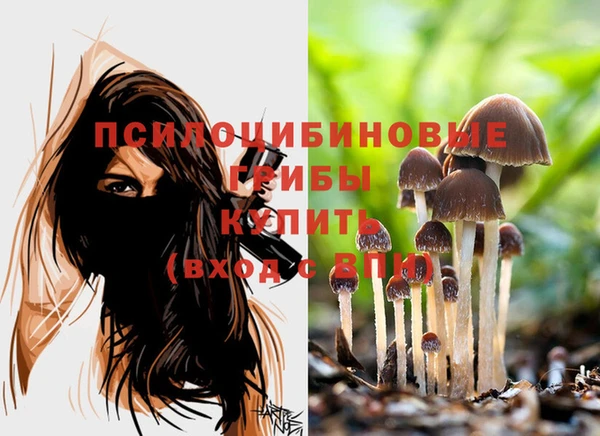 гидропоника Армянск