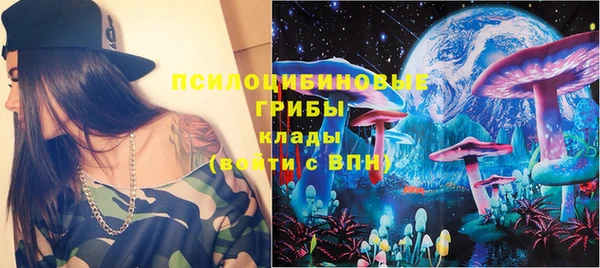 молекула духа Аркадак