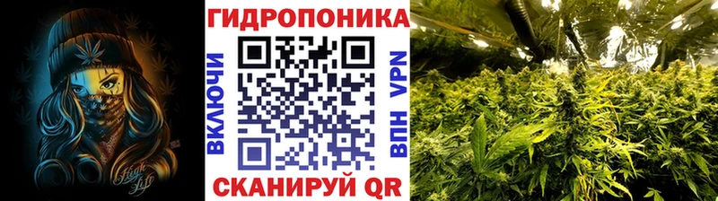 купить закладку  Чадан  МЕГА tor  Бошки марихуана VHQ 